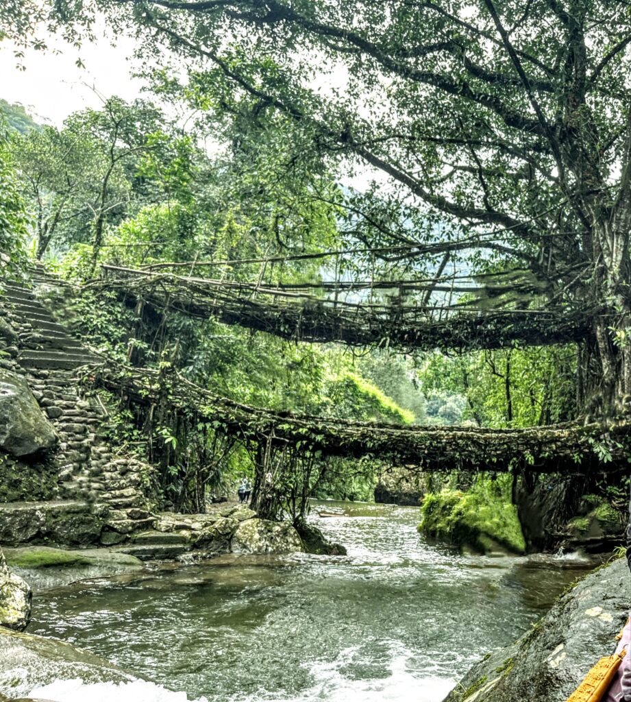 Double decker living root bridge, Nongriat