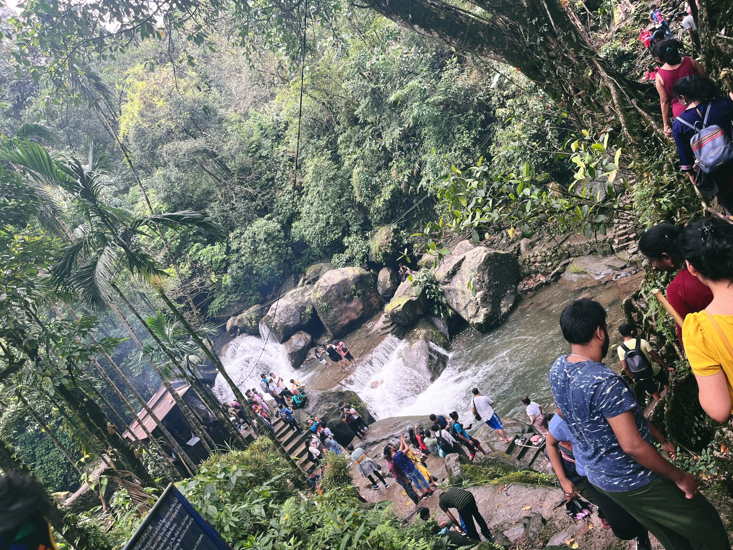 Double decker living root bridge, Nongriat
