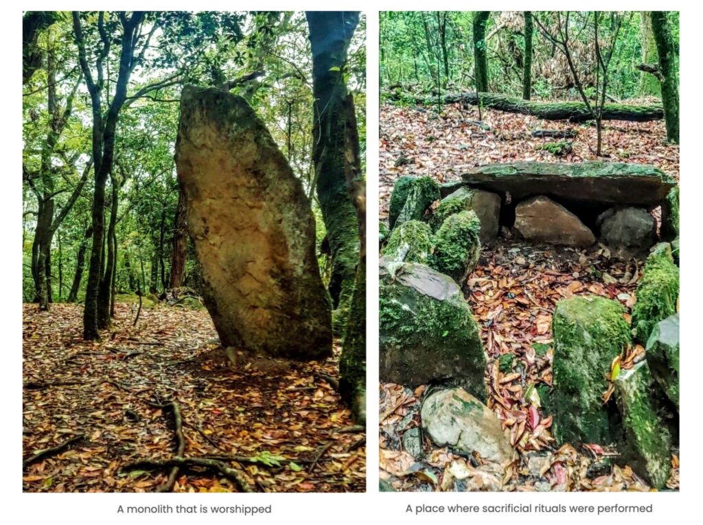 Mawphlang Sacred Groves Forest, Meghalaya