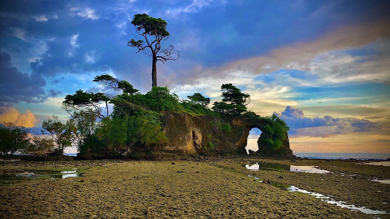 Natural bridge, Neil Island, Andaman and Nicobar Islands