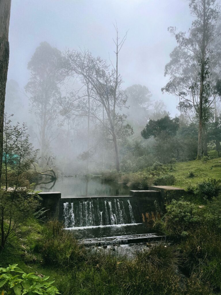 View near Pillar rocks