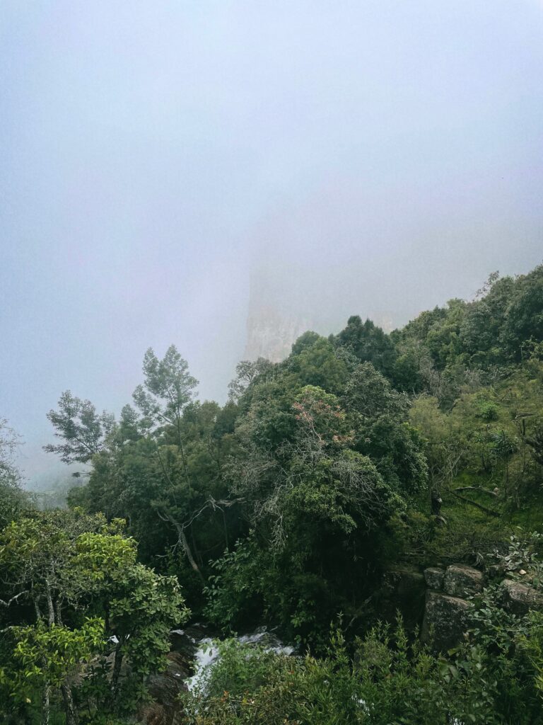 Pillar Rocks, Kodaikanal
